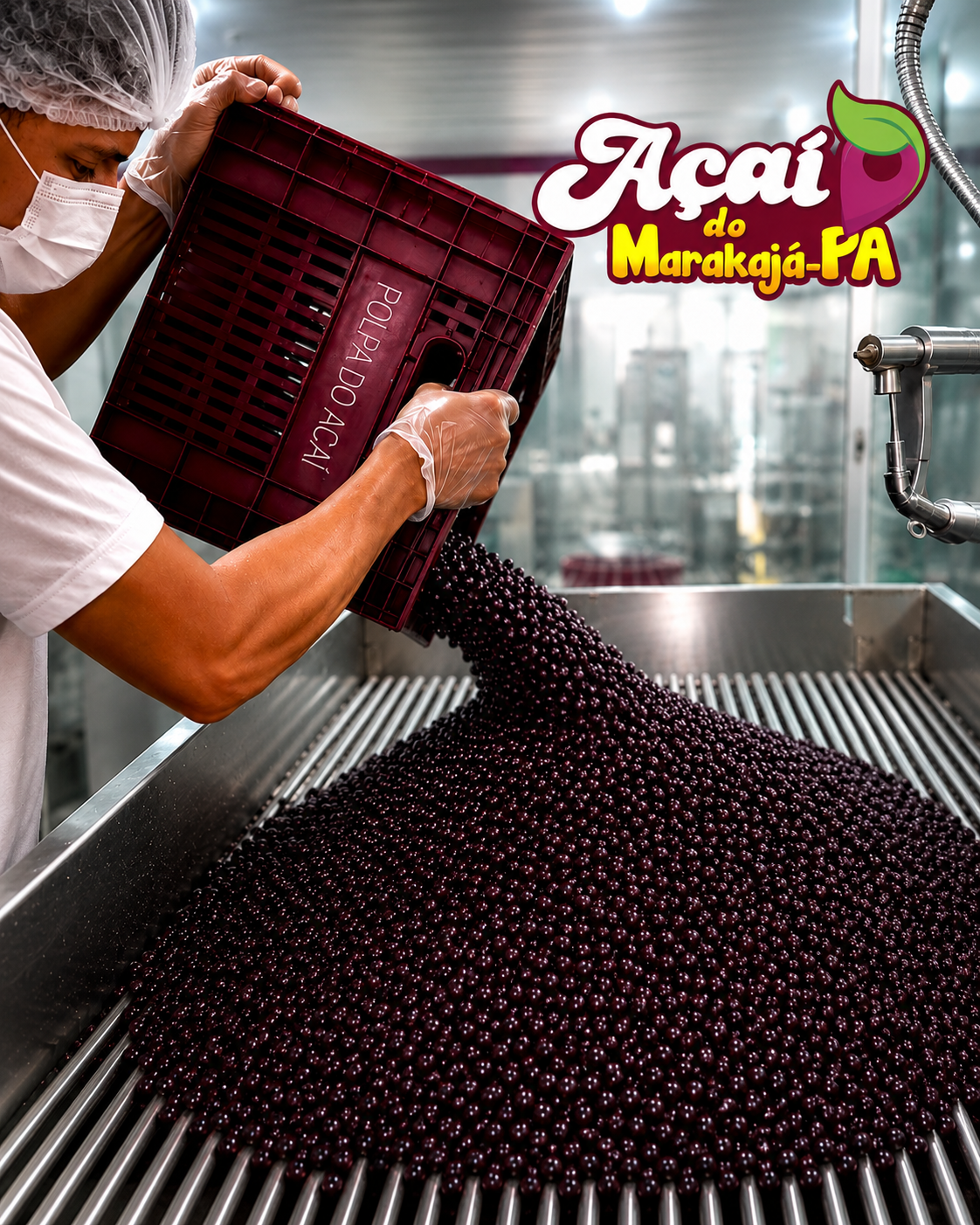 Fábrica de açaí Marakajá no Pará